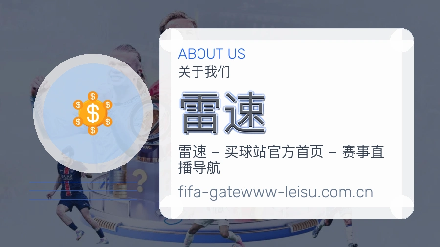 雷速发展说明